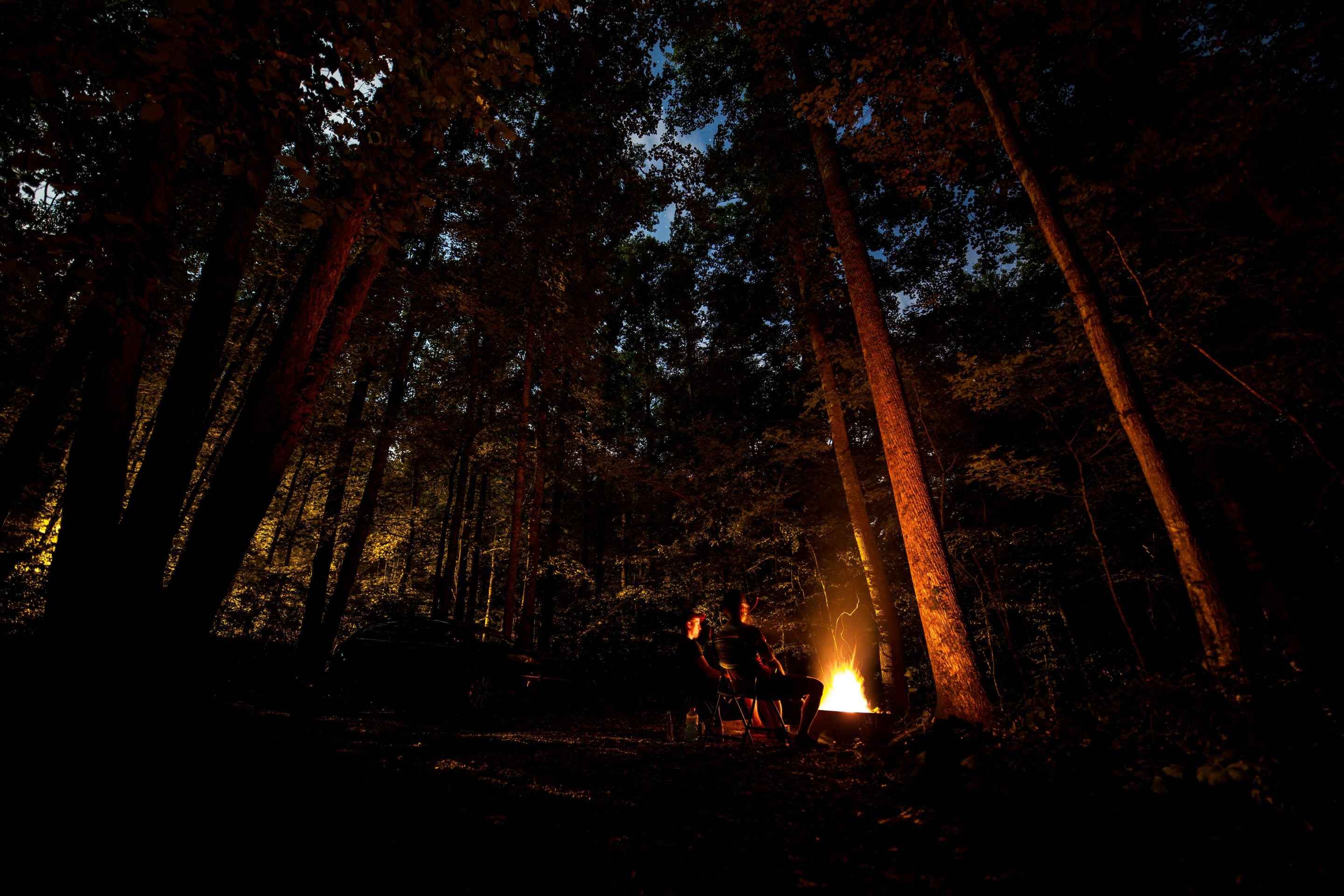 Dark wide show of woods with 2 people in front of glowing campfire