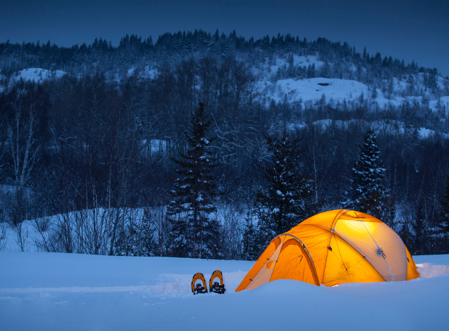 A light up tent and snow shoes in the winter woods covered in snow