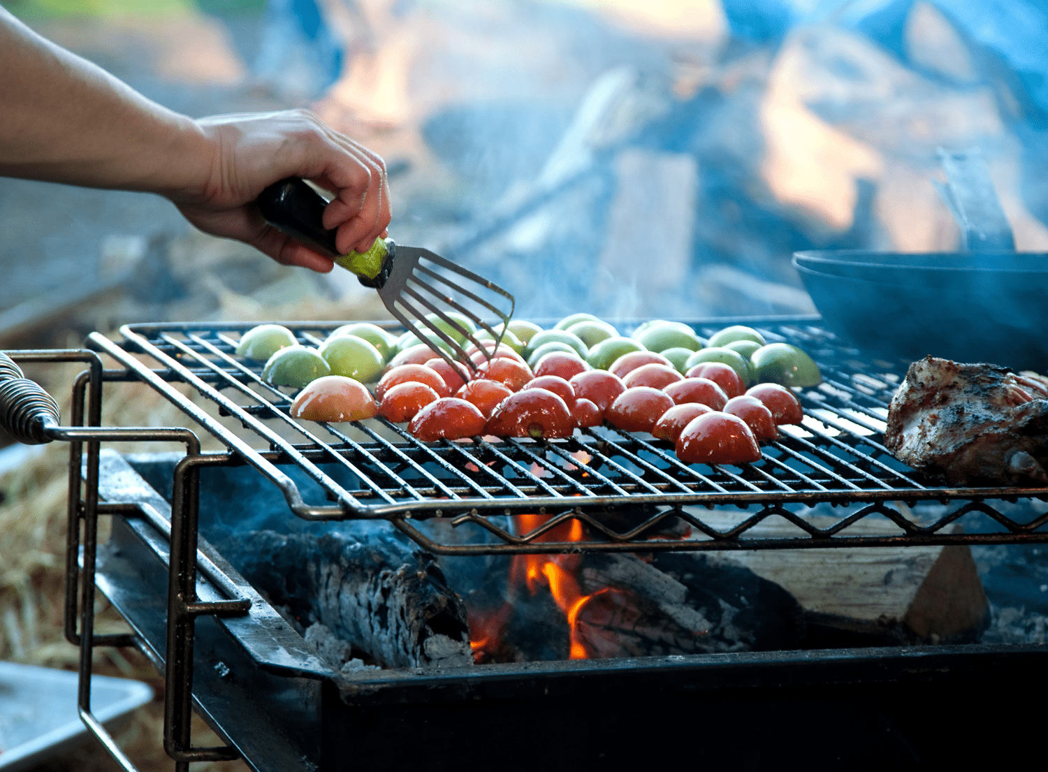 Tomatoes being grilled on a bbq grill